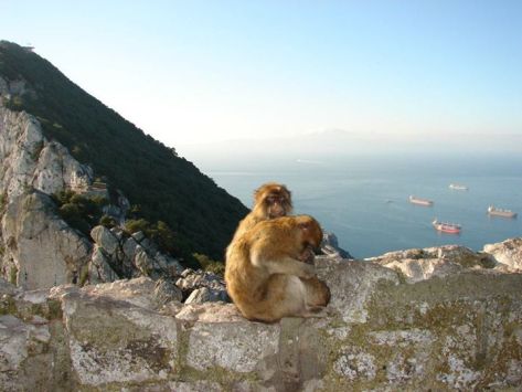 gibraltar (22)