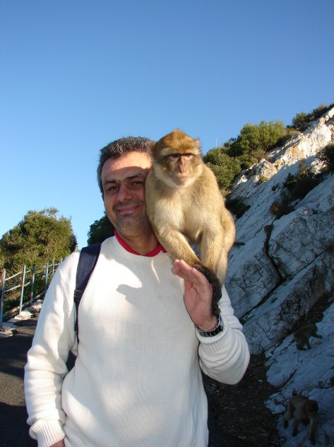 gibraltar (4)