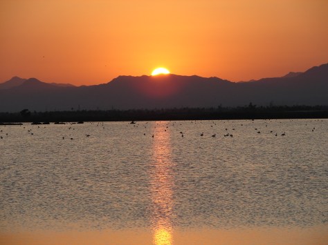 santa pola 22-23august2009-----el pardo 16.08.2009 057