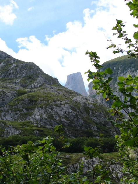 picos de europa  (1)