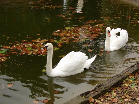 san sebastaian 9-12octombrie 2010 075