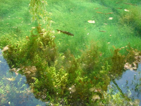 monasterio de piedra-15.05.2007 102